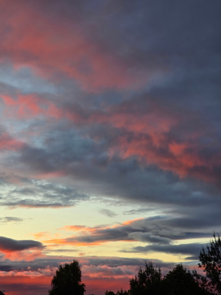 A colorful sunset with vibrant orange and pink hues blending into the darkening blue sky, framed by silhouettes of trees.