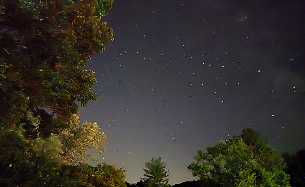 Blog: Dialing up the Bon of the&nbsp;Voyage