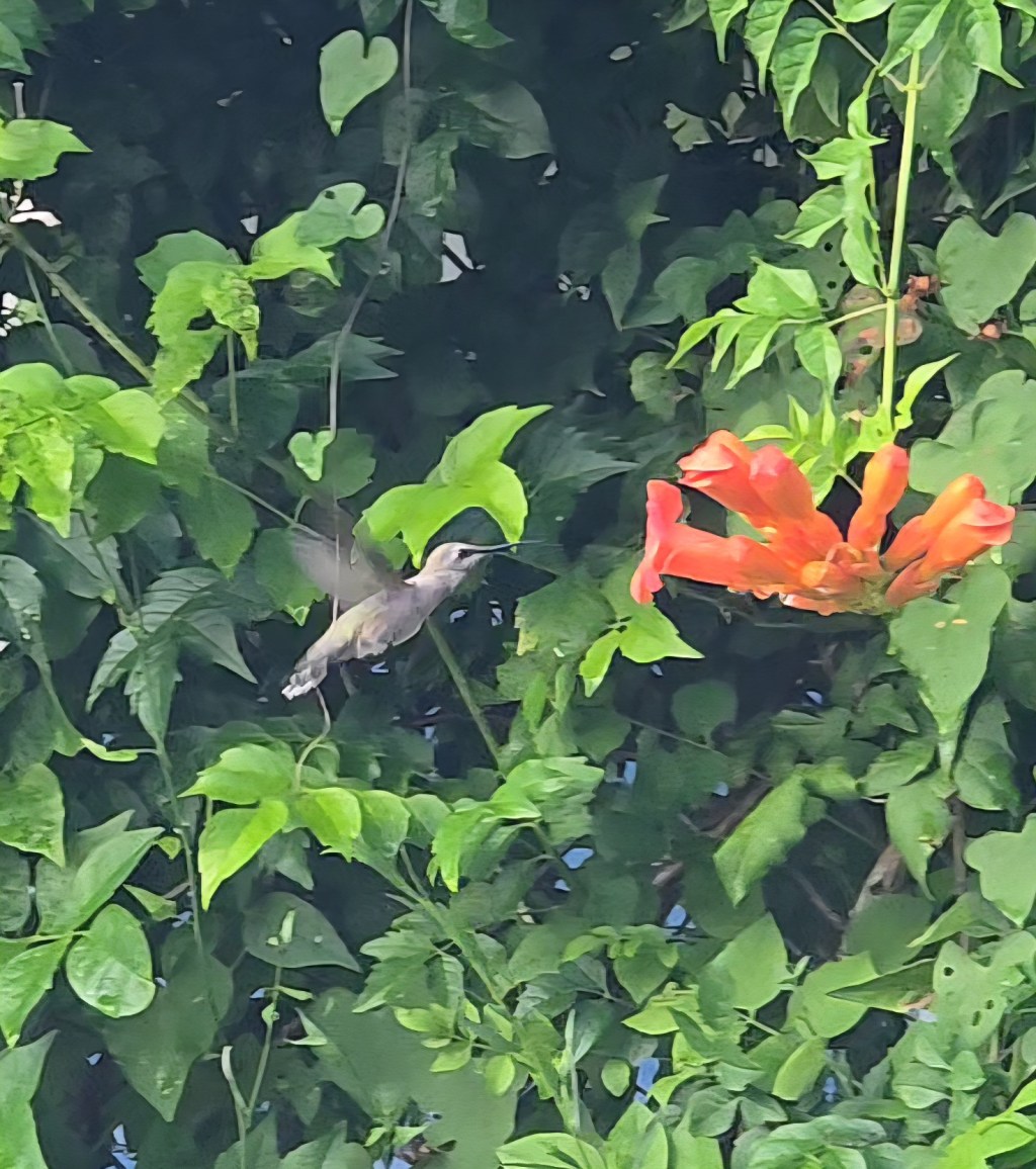 Blog: Moving Mountains