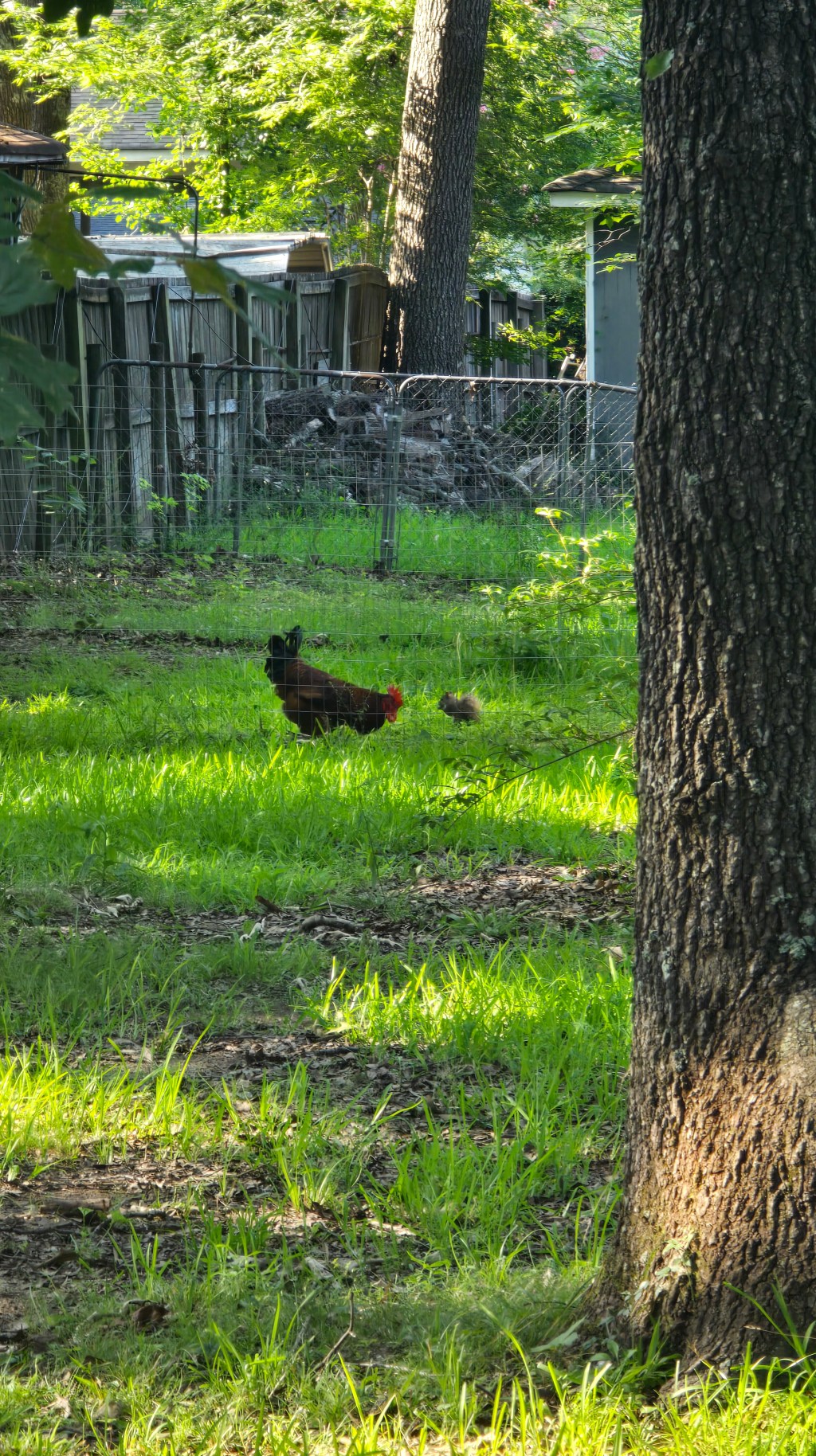 Blog: Choices on the Open&nbsp;Ocean