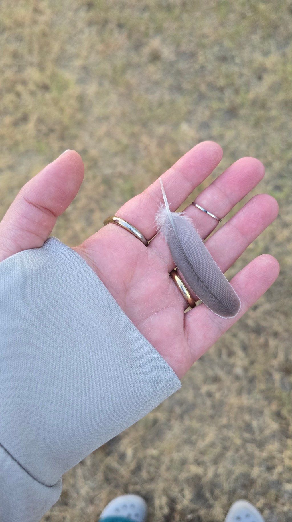 Blog: Carrying August’s Warmth