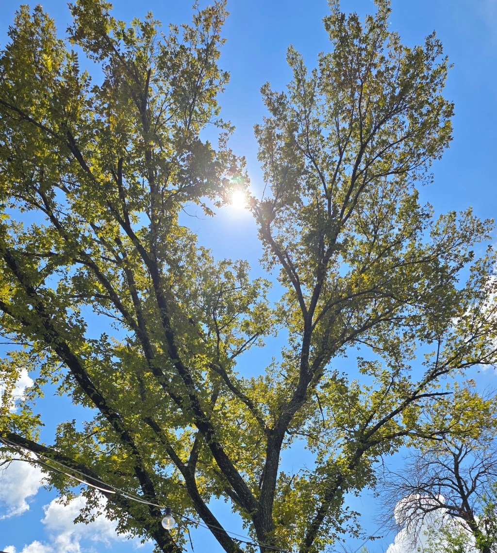 Hot Take: Deciding On Self