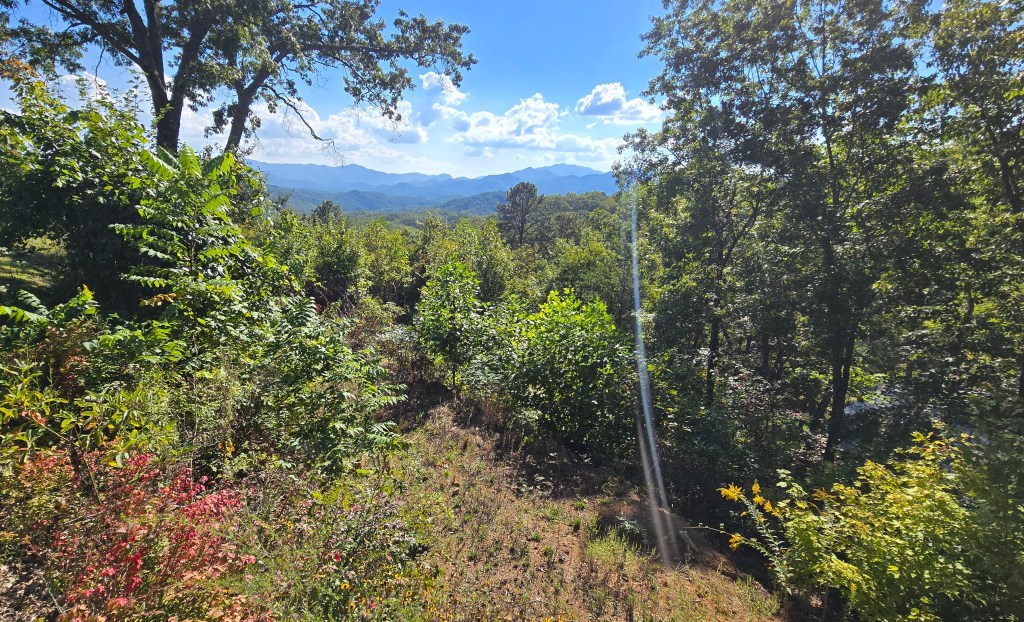 Blog: Sail by the Stars 4,&nbsp;Resurrected