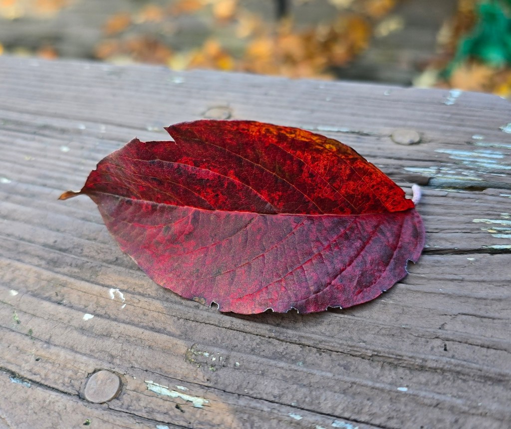 Blog: 45th, 444, 222 and 3rd